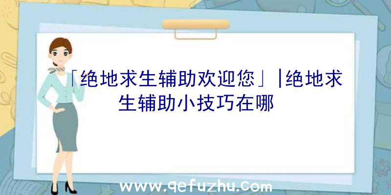 「绝地求生辅助欢迎您」|绝地求生辅助小技巧在哪